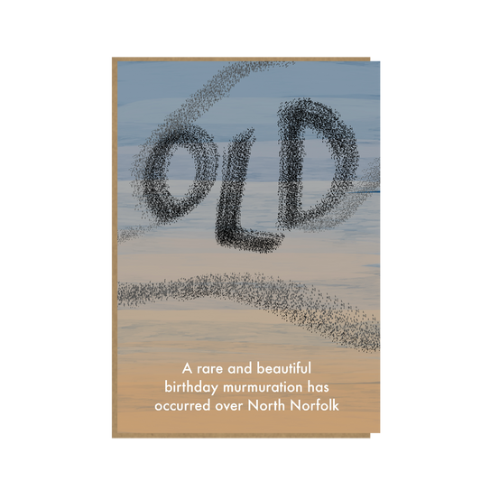 Norfolk Murmuration  - funny Norfolk birthday card